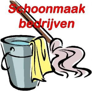 logo schoonmakers op ameland