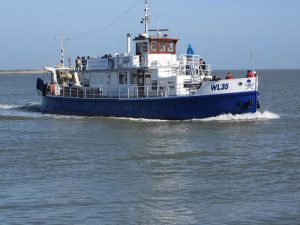 zeehondentocht op Ameland